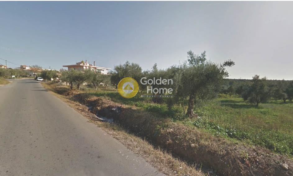 Οικόπεδο 1.390 τ.μ. για πώληση, Μεσσηνία, Μεσσήνη
