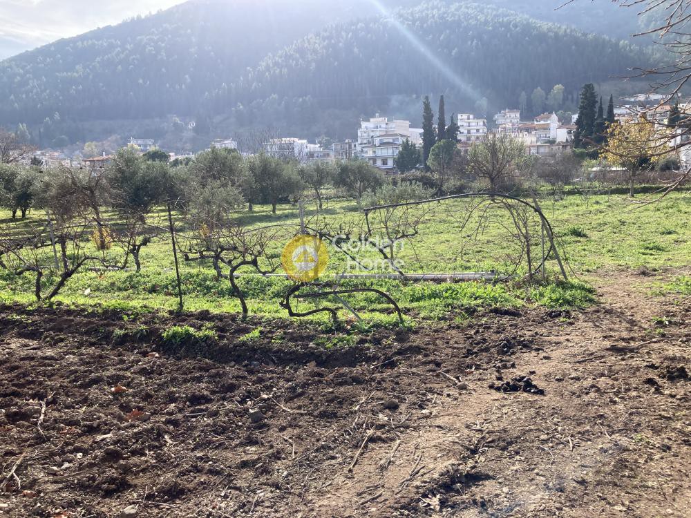 Οικόπεδο 10.900 τ.μ. προς πώληση, Φθιώτιδας, Αταλάντη