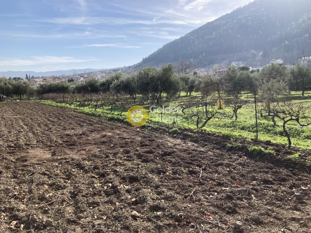 Οικόπεδο 10.900 τ.μ. προς πώληση, Φθιώτιδας, Αταλάντη
