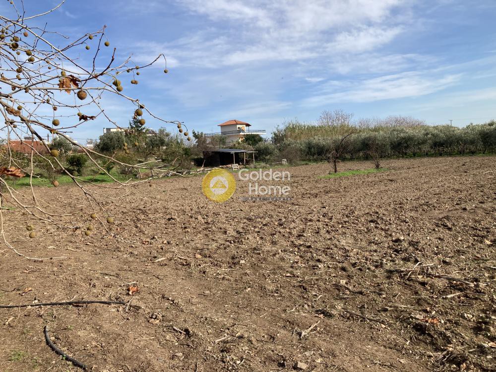 Οικόπεδο 10.900 τ.μ. προς πώληση, Φθιώτιδας, Αταλάντη
