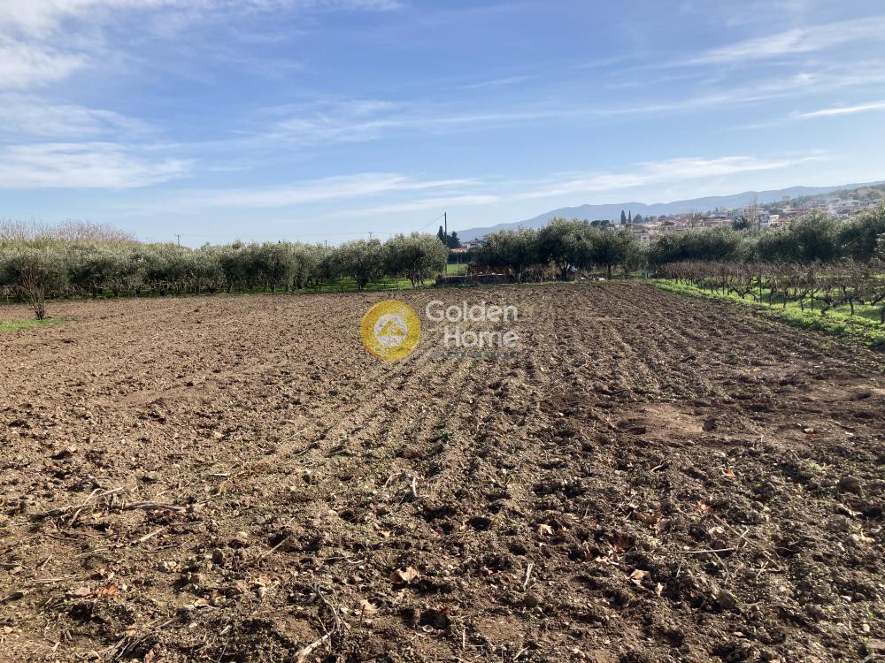 Οικόπεδο 10.900 τ.μ. προς πώληση, Φθιώτιδας, Αταλάντη