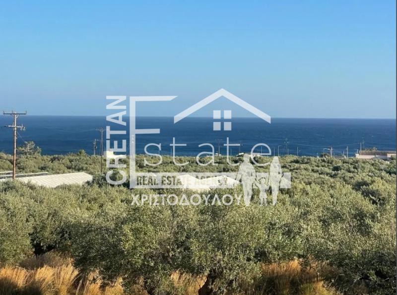 Οικόπεδο 4.800 τ.μ. προς πώληση, Ν. Λασιθίου, Μακρύς Γιαλός