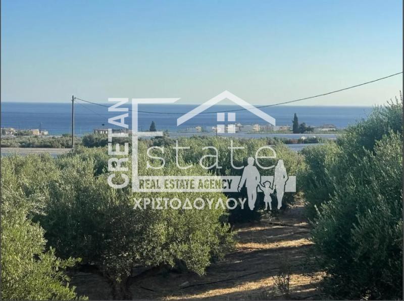 Οικόπεδο 4.800 τ.μ. προς πώληση, Ν. Λασιθίου, Μακρύς Γιαλός