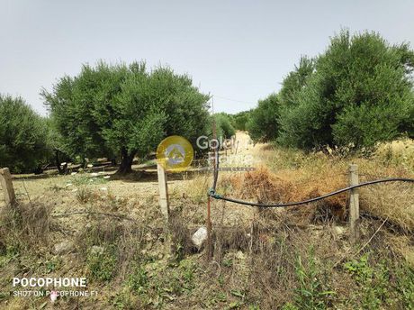 Οικόπεδο 2.700 τ.μ. για πώληση