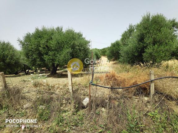 Οικόπεδο 2.700 τ.μ. για πώληση, Ν. Ηρακλείου, Γοργολαϊνη