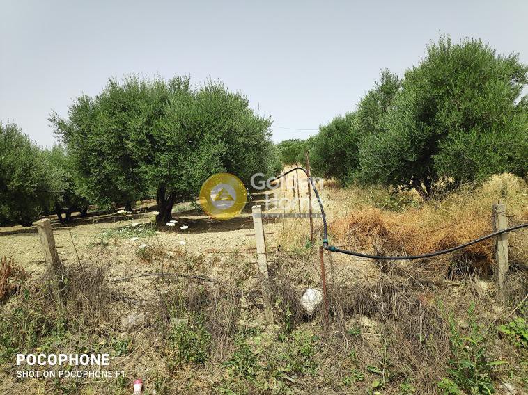Οικόπεδο 2.700 τ.μ. προς πώληση, Άγιος Μύρωνας