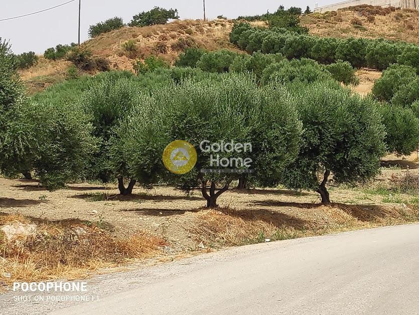 Οικόπεδο 2.700 τ.μ. προς πώληση, Άγιος Μύρωνας