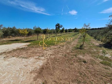 Parcel 2.400sqm for sale-Eleitheres » Nea Peramos