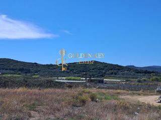 Αγροτεμάχια 4.939 τ.μ. για πώληση, Ν. Καβάλας, Ελευθερές-thumb-2