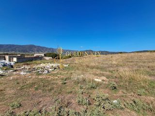 Αγροτεμάχια 4.939 τ.μ. για πώληση