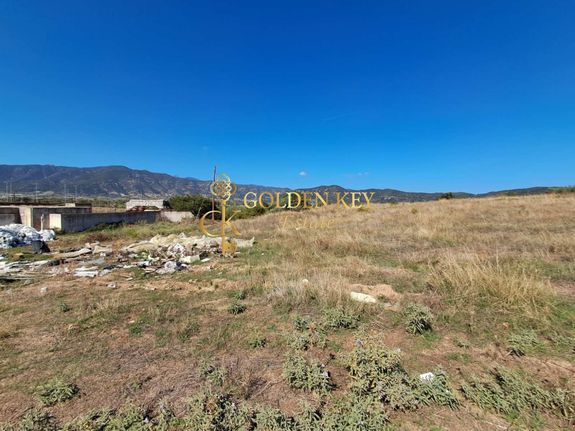 Αγροτεμάχια 4.939 τ.μ. για πώληση, Ν. Καβάλας, Ελευθερές