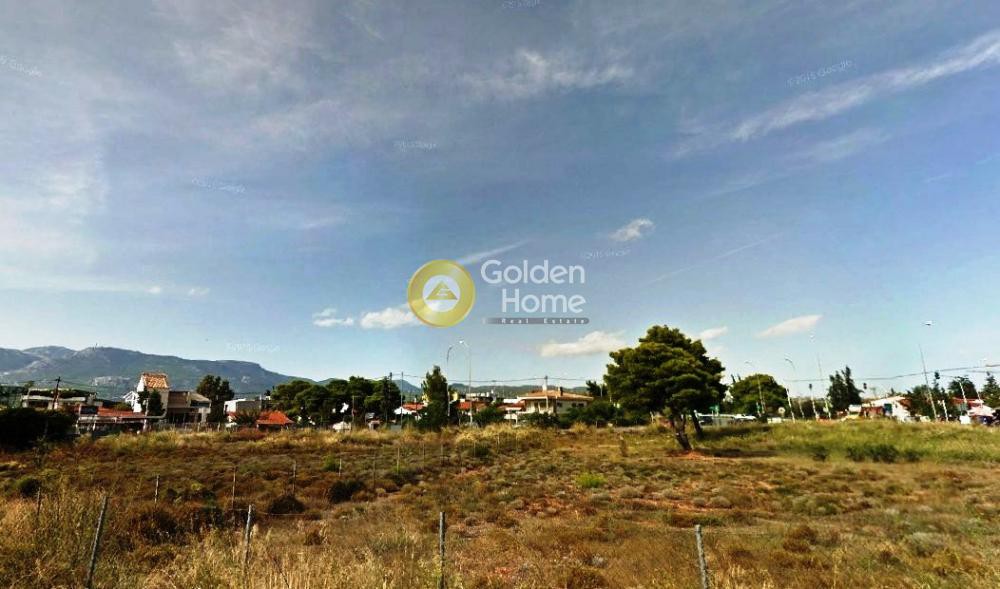 Οικόπεδο 3.775 τ.μ. προς πώληση, Μορτερό