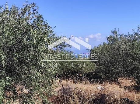 Οικόπεδο 675τ.μ. για πώληση-Βάμος » Κόκκινο χωριό