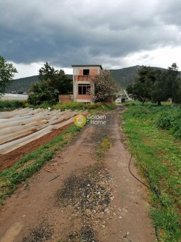 Αγροτεμάχια 4.337τ.μ. για πώληση-Μαραθώνας » Άγιος παντελεήμονας