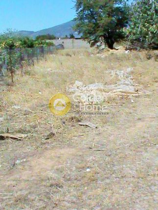 Αγροτεμάχια 600 τ.μ. για πώληση, Αθήνα - Βόρεια Προάστια, Κηφισιά