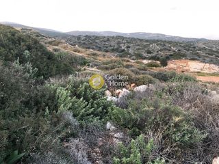 Οικόπεδο 45.000 τ.μ. για πώληση, Κυκλάδες, Πάρος-thumb-9