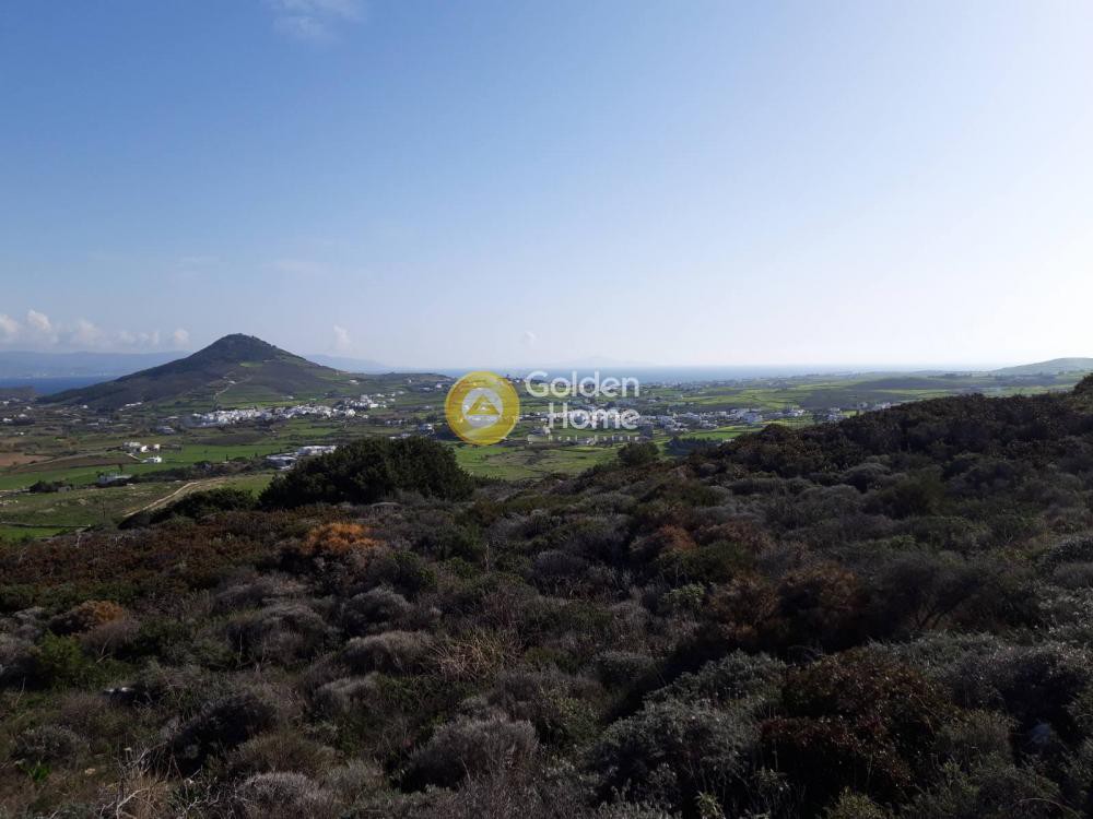 Οικόπεδο 45.000 τ.μ. προς πώληση, Πρόδρομος Πάρου