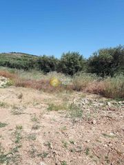 Οικόπεδο 430 τ.μ. για πώληση