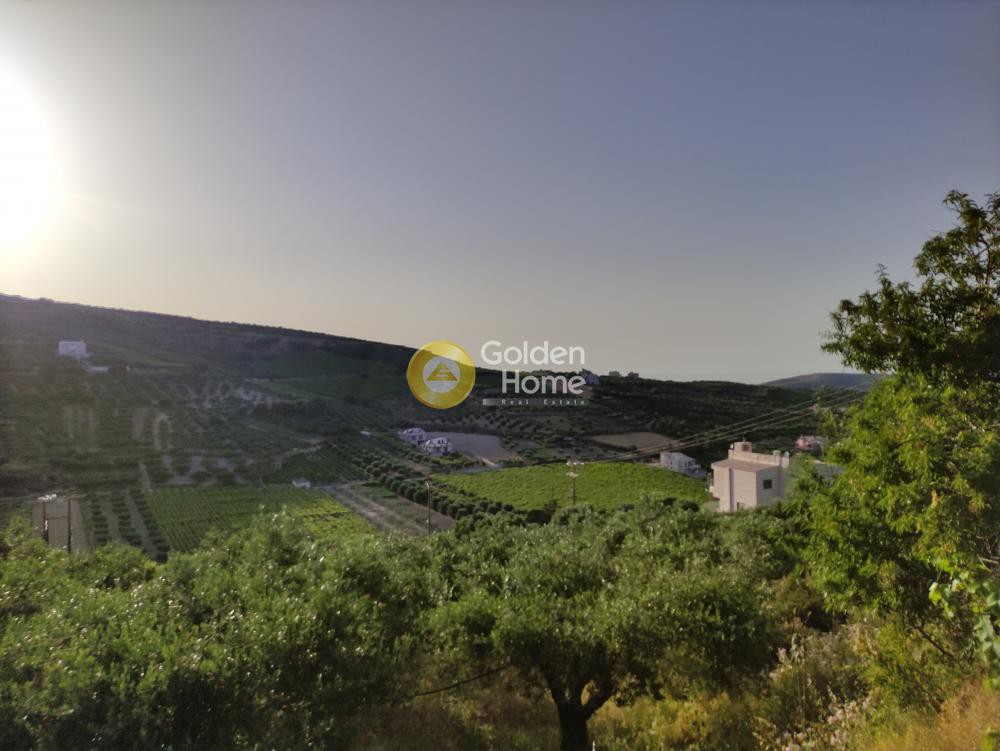 Οικόπεδο 2.677 τ.μ. προς πώληση, Πατσίδες