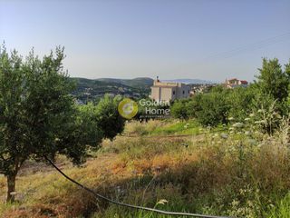 Οικόπεδο 2.677 τ.μ. για πώληση, Ν. Ηρακλείου, Αρχάνες-thumb-5
