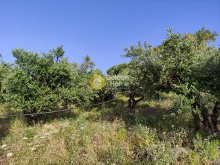 Οικόπεδο 2.677 τ.μ. για πώληση, Ν. Ηρακλείου, Αρχάνες-thumb-8