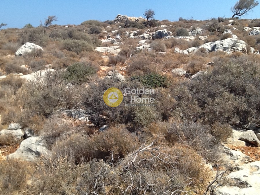 Αγροτεμάχια 10.884 τ.μ. προς πώληση, Κόκκινο Χωριό