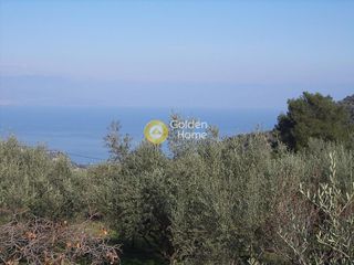 Οικόπεδο 351 τ.μ. για πώληση, Κορινθία, Ευρωστίνη-thumb-2