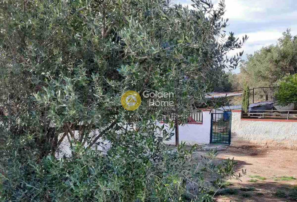 Οικόπεδο 322 τ.μ. προς πώληση, Αττική - Υπόλοιπο, Νέα Πέραμος (μεγάλο Πεύκο)