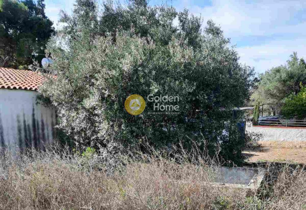 Οικόπεδο 322 τ.μ. προς πώληση, Αττική - Υπόλοιπο, Νέα Πέραμος (μεγάλο Πεύκο)