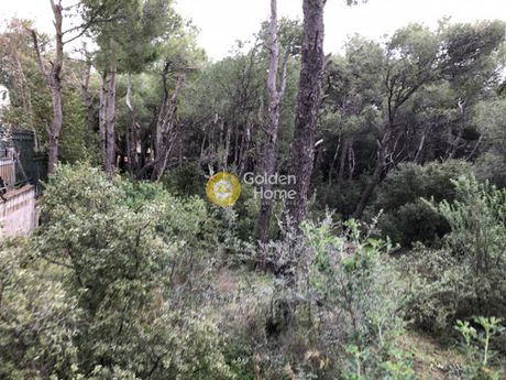 Οικόπεδο 1.001 τ.μ. για πώληση
