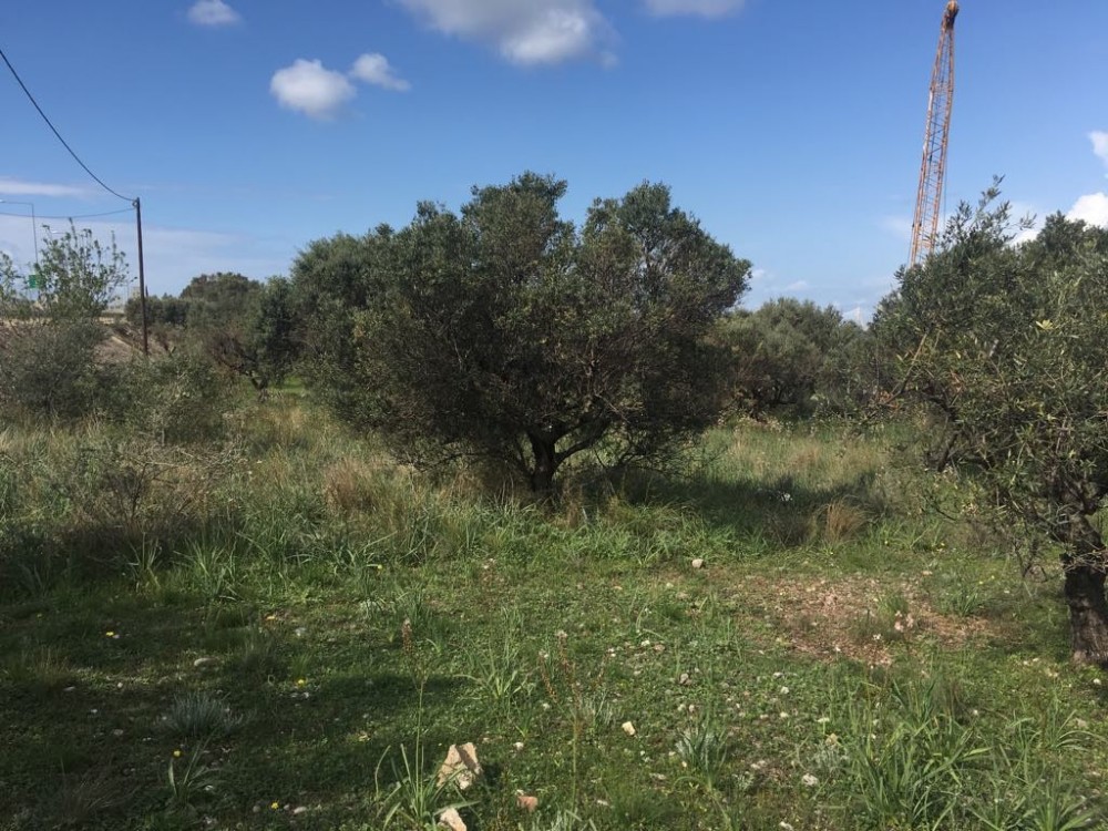 Αγροτεμάχια 5.100 τ.μ. προς πώληση, Αραχωβίτικα Ρίου