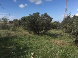Αγροτεμάχια 5.100 τ.μ. για πώληση, Αχαΐα, Ρίο-thumb-4