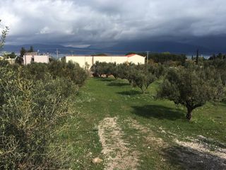 Αγροτεμάχια 5.100 τ.μ. για πώληση, Αχαΐα, Ρίο-thumb-1