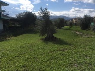 Οικόπεδο 2.850 τ.μ. για πώληση