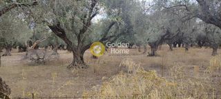 Οικόπεδο 550 τ.μ. για πώληση