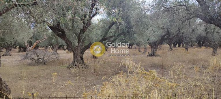 Οικόπεδο 550 τ.μ. για πώληση, Αχαΐα, Πάτρα