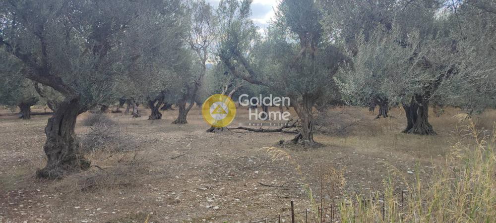 Οικόπεδο 550 τ.μ. προς πώληση, Αχαΐα, Πάτρα