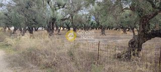 Οικόπεδο 550 τ.μ. για πώληση, Αχαΐα, Πάτρα-thumb-3