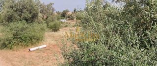 Οικόπεδο 592 τ.μ. για πώληση
