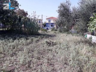 Οικόπεδο 980 τ.μ. για πώληση
