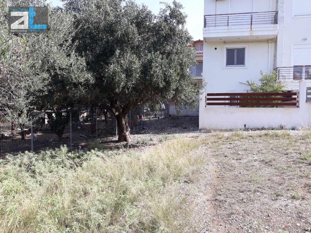 Οικόπεδο 980 τ.μ. προς πώληση, Αχαΐα, Ρίο