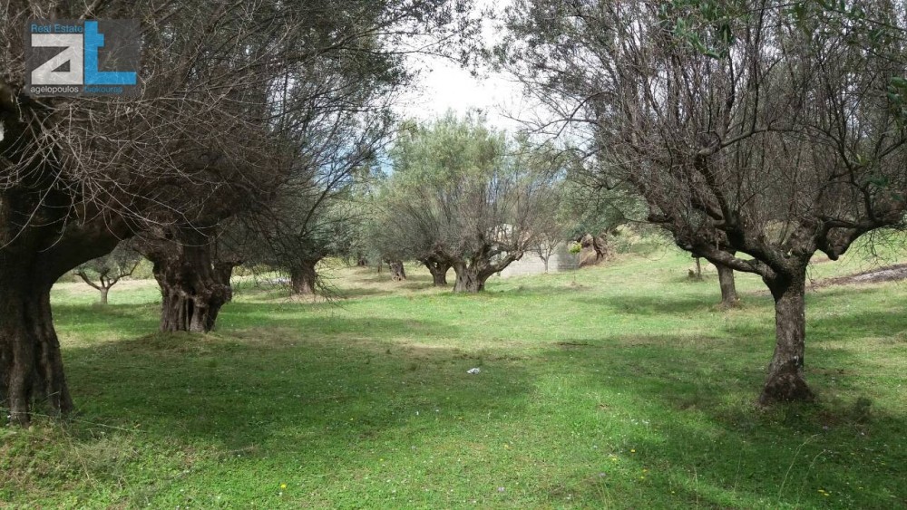 Οικόπεδο 7.095 τ.μ. προς πώληση, Αχαΐα, Ρίο