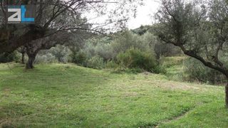 Οικόπεδο 7.095 τ.μ. για πώληση, Αχαΐα, Ρίο-thumb-4
