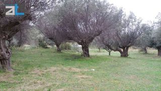 Οικόπεδο 7.095 τ.μ. για πώληση, Αχαΐα, Ρίο-thumb-2