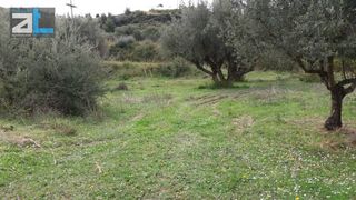Οικόπεδο 7.095 τ.μ. για πώληση, Αχαΐα, Ρίο-thumb-8