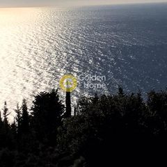Αγροτεμάχια 12.500 τ.μ. για πώληση, Ν. Λευκάδας, Λευκάδα-thumb-1