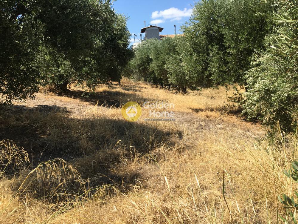 Οικόπεδο 533 τ.μ. προς πώληση, Γούρνες Ηρακλείου