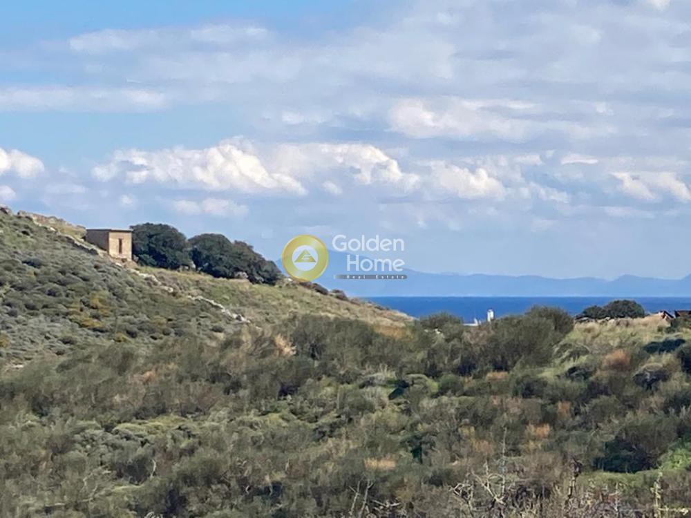 Οικόπεδο 2.480 τ.μ. προς πώληση, Μουτσούνα
