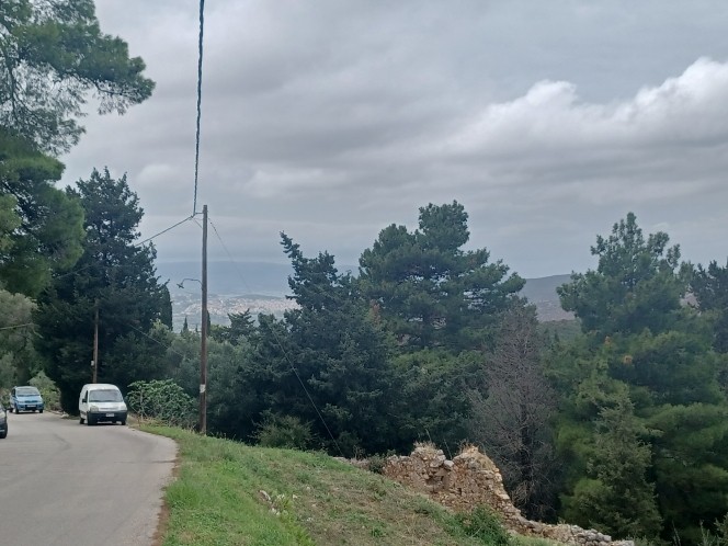 Οικόπεδο 787 τ.μ. προς πώληση, Λειβαθώ