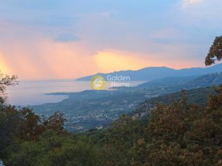 Οικόπεδο 12.300 τ.μ. για πώληση, Μεσσηνία, Λεύκτρος-thumb-1